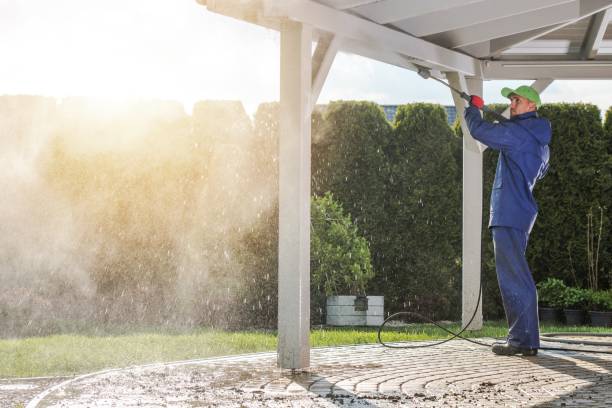 Best Window and Screen Pressure Cleaning in Norwood, NY